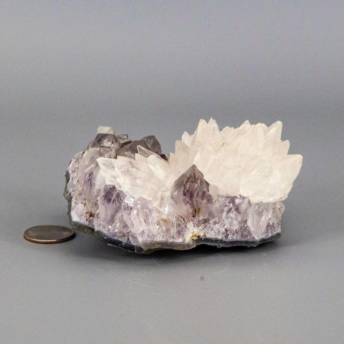 Amethyst Crystal Cluster Dogtooth Calcite Flower Specimen