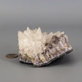 Amethyst Crystal Cluster Dogtooth Calcite Flower Specimen