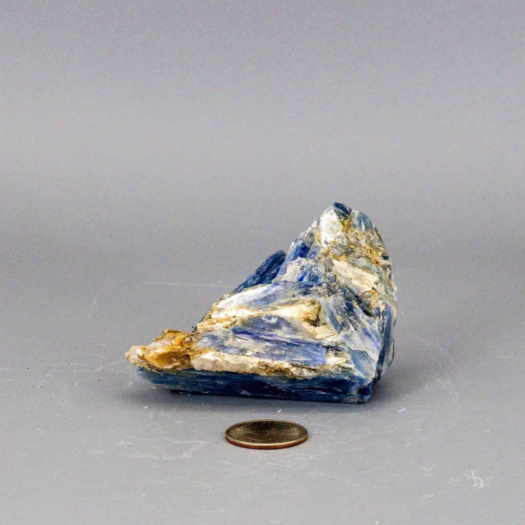 Beautiful Blue Kyanite Blades In Quartz Clusters