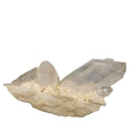 Clear Quartz Crystal Cluster Natural Point Formation