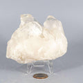 Clear Quartz Point Cluster | 472g Natural Crystal Specimen
