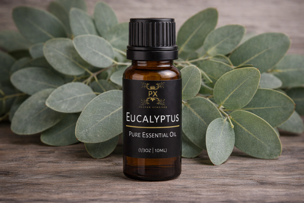 Eucalyptus Globulus Essential Oil