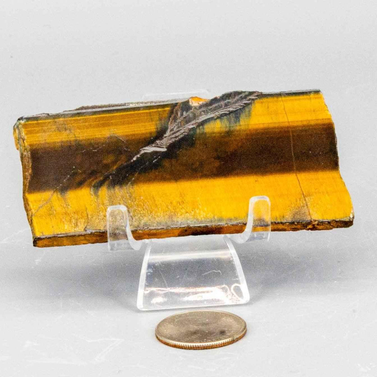 Tiger's Eye Crystal Polished Slice Natural Chatoyant