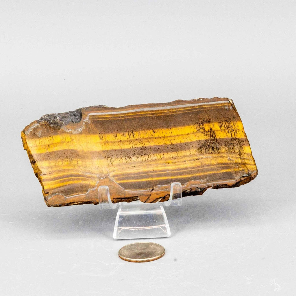 Tiger's Eye Crystal Polished Slice Natural Chatoyant