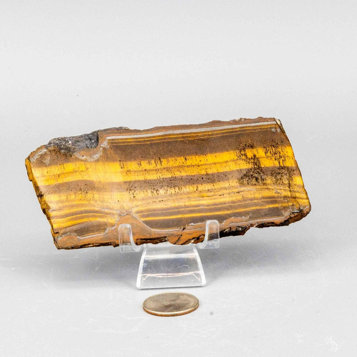 Tiger's Eye Crystal Polished Slice Natural Chatoyant