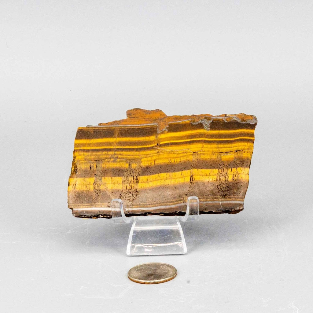 Tiger's Eye Crystal Polished Slice Natural Chatoyant