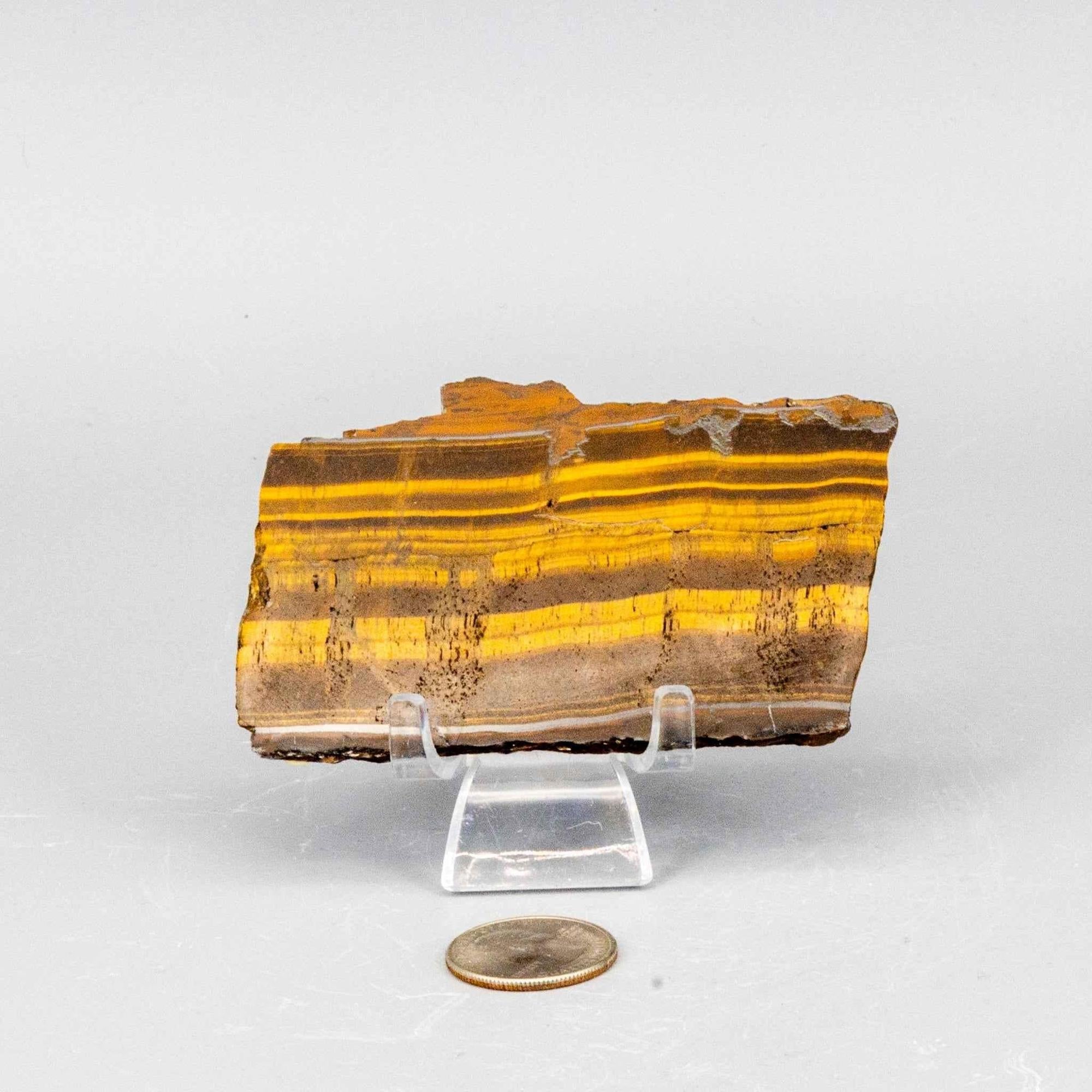 Tiger's Eye Crystal Polished Slice Natural Chatoyant