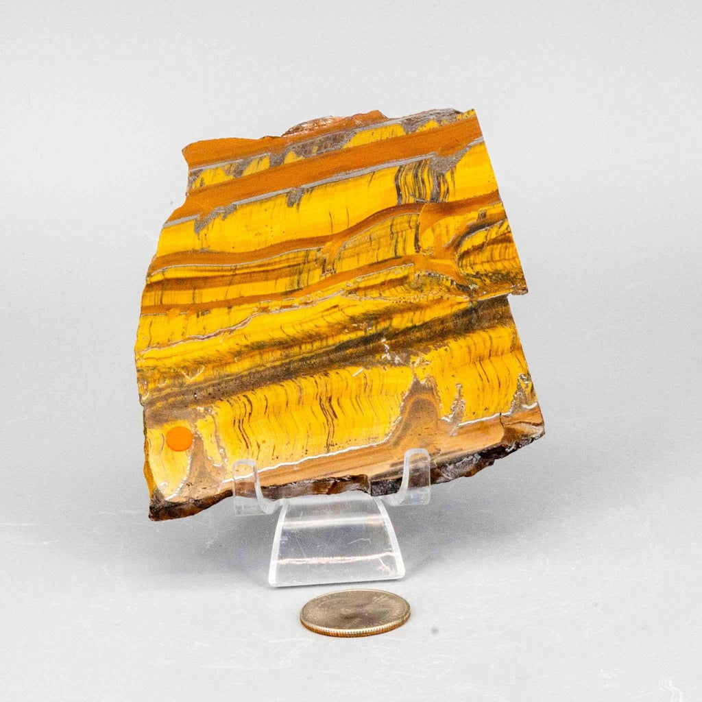 Tiger's Eye Crystal Polished Slice Natural Chatoyant