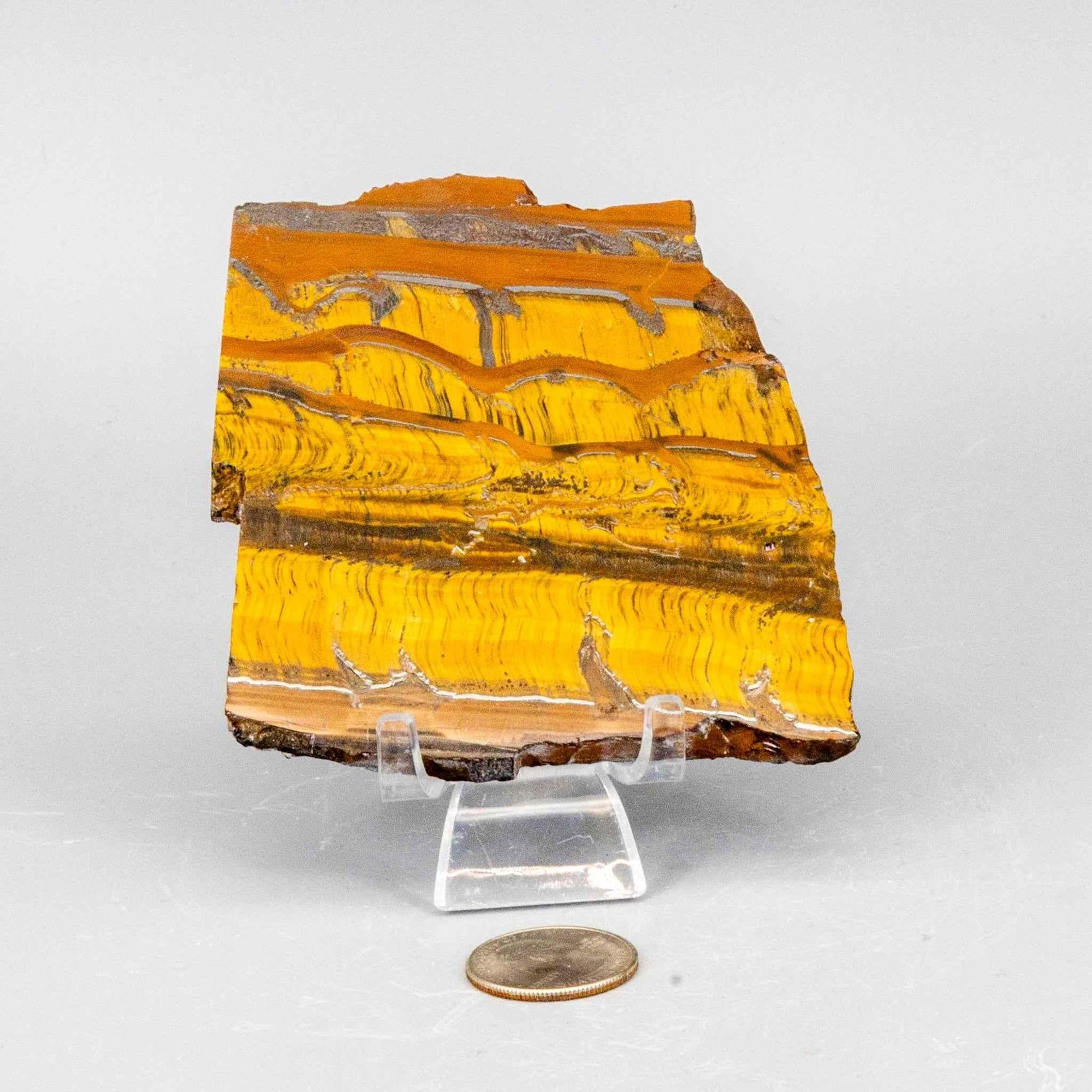 Tiger's Eye Crystal Polished Slice Natural Chatoyant