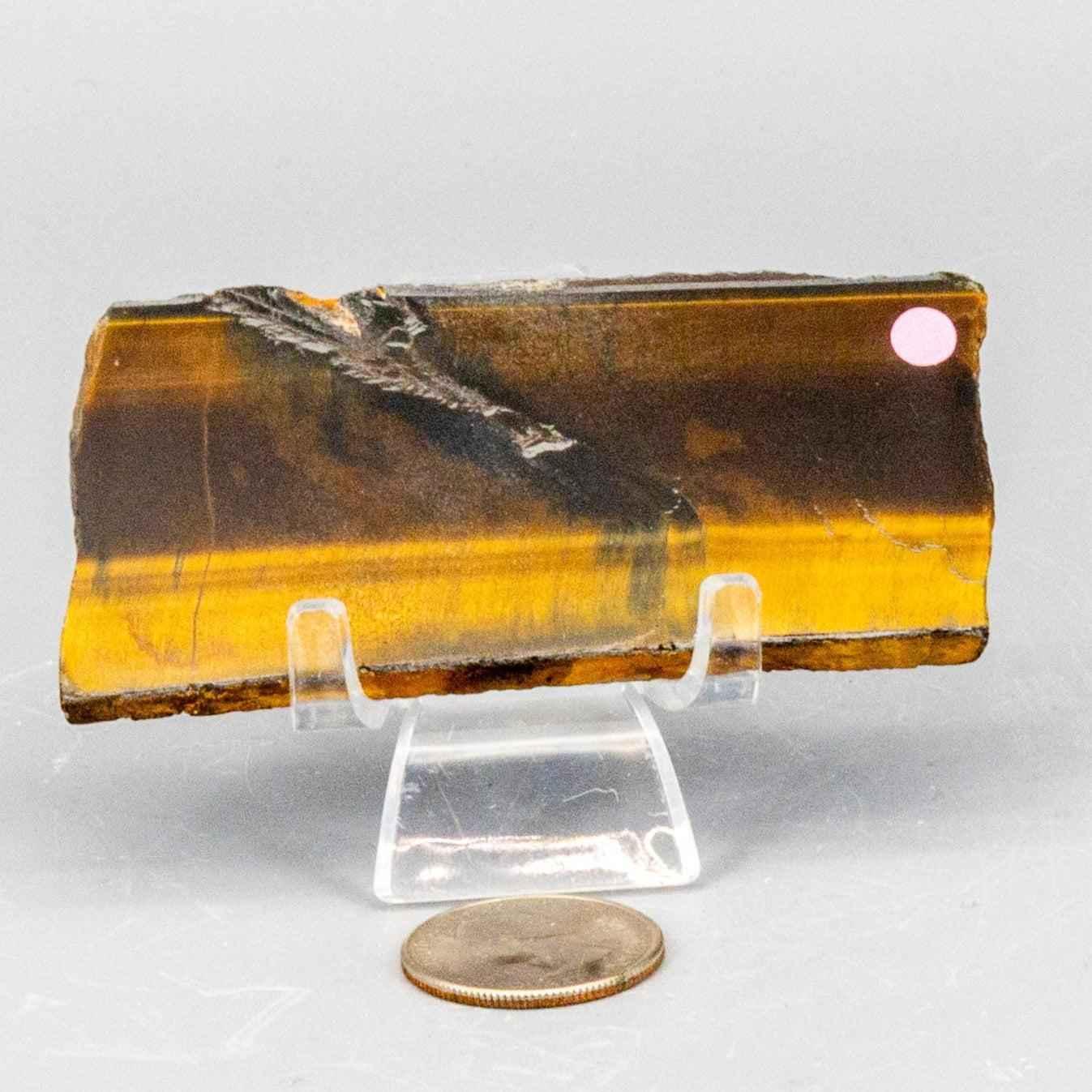 Tiger's Eye Crystal Polished Slice Natural Chatoyant