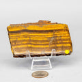 Tiger's Eye Crystal Polished Slice Natural Chatoyant