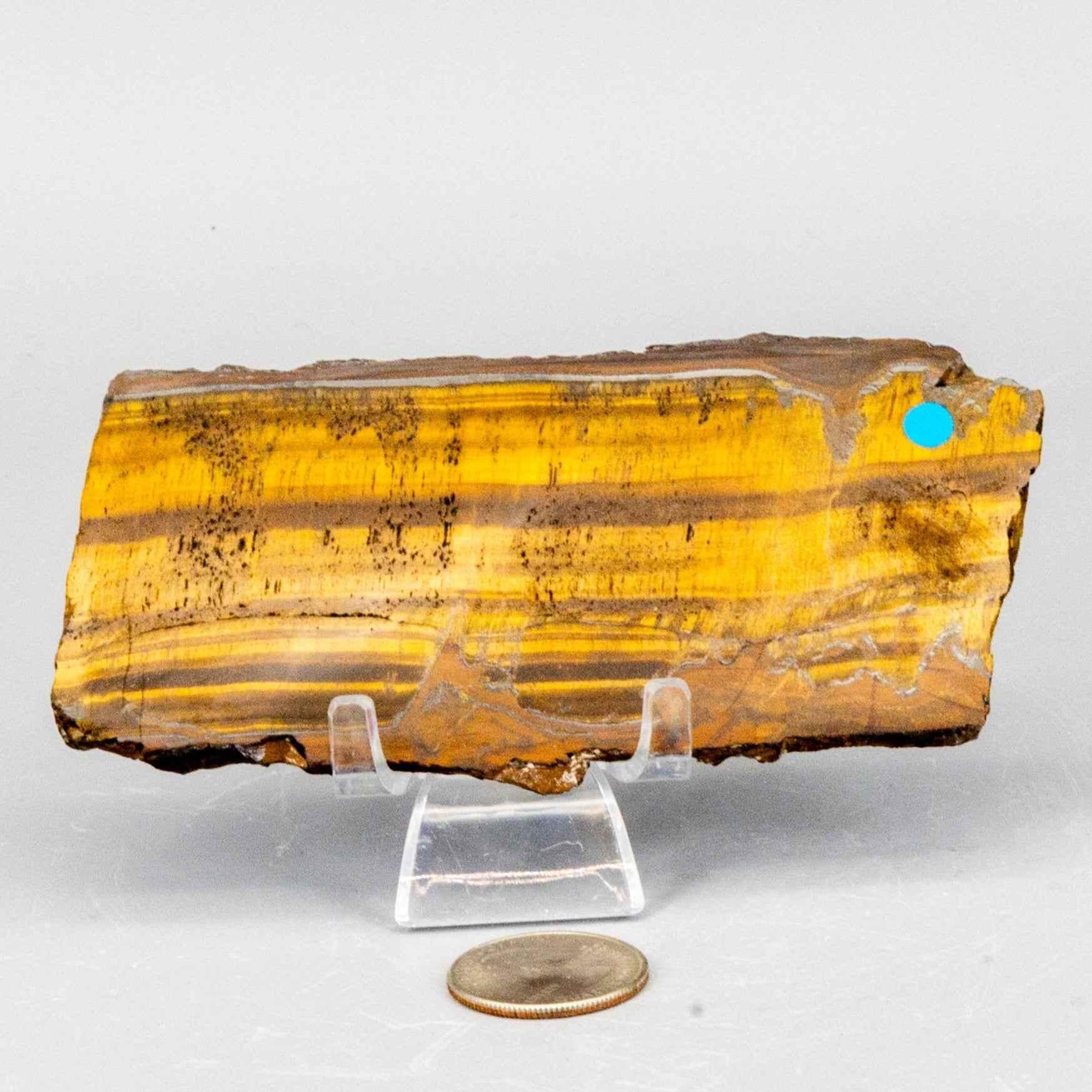 Tiger's Eye Crystal Polished Slice Natural Chatoyant